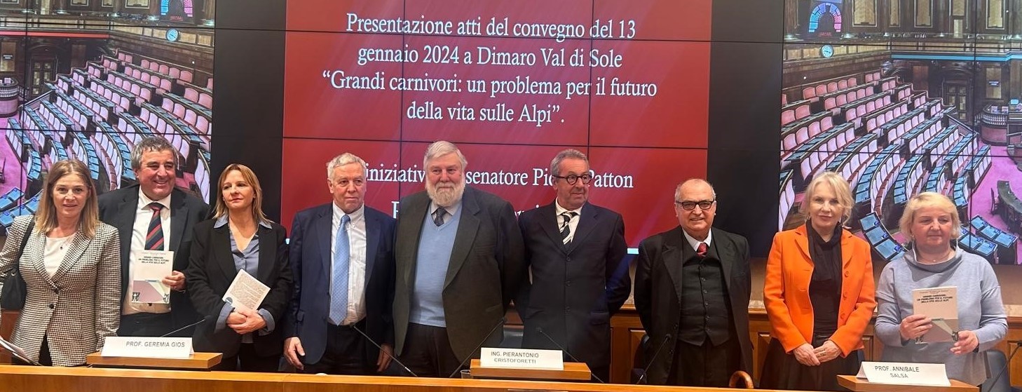 Scopri di più sull'articolo Senato, gestione orsi “serve un approccio scientifico e non ideologico” così il senatore Patton