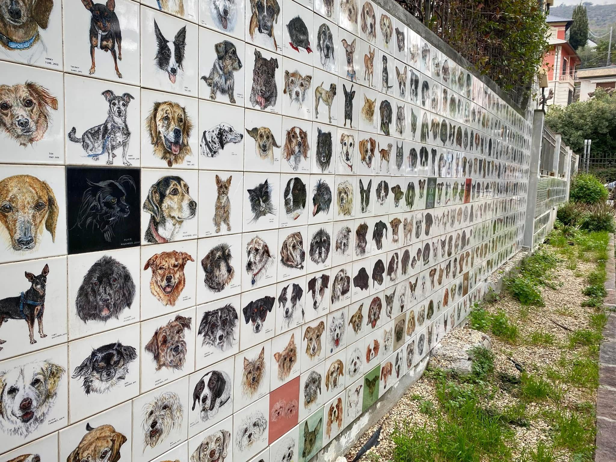 Scopri di più sull'articolo Un Muretto per i Cani, un luogo del cuore per Bolzano 