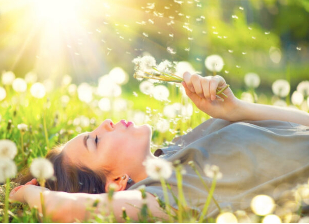 Scopri di più sull'articolo A Laives un festival della Naturopatia