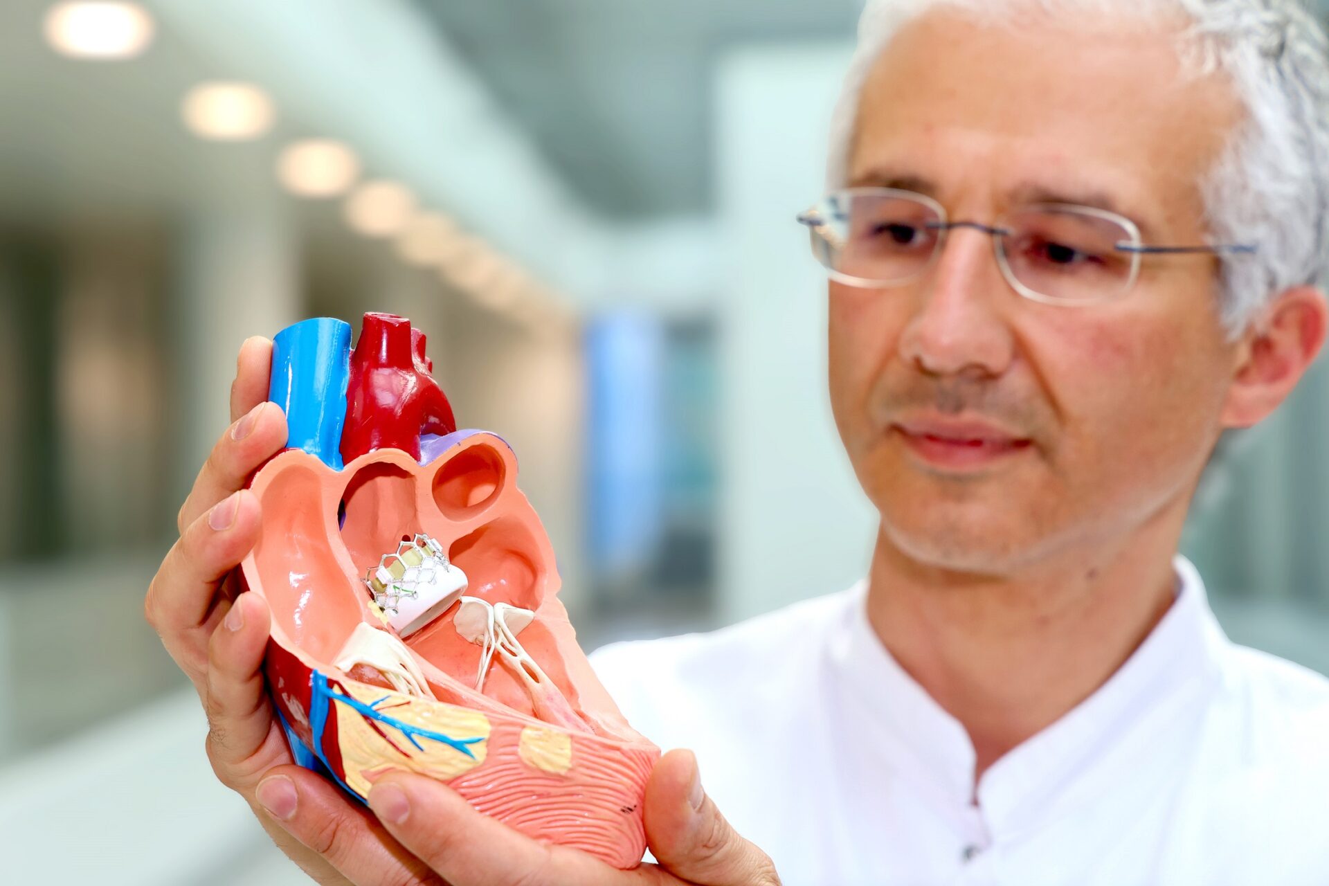 Scopri di più sull'articolo TAVI oder Chirurgie: Erste europäische Studie bei Frauen erlaubt fundierte Wahl der Methode beim Herzklappenersatz