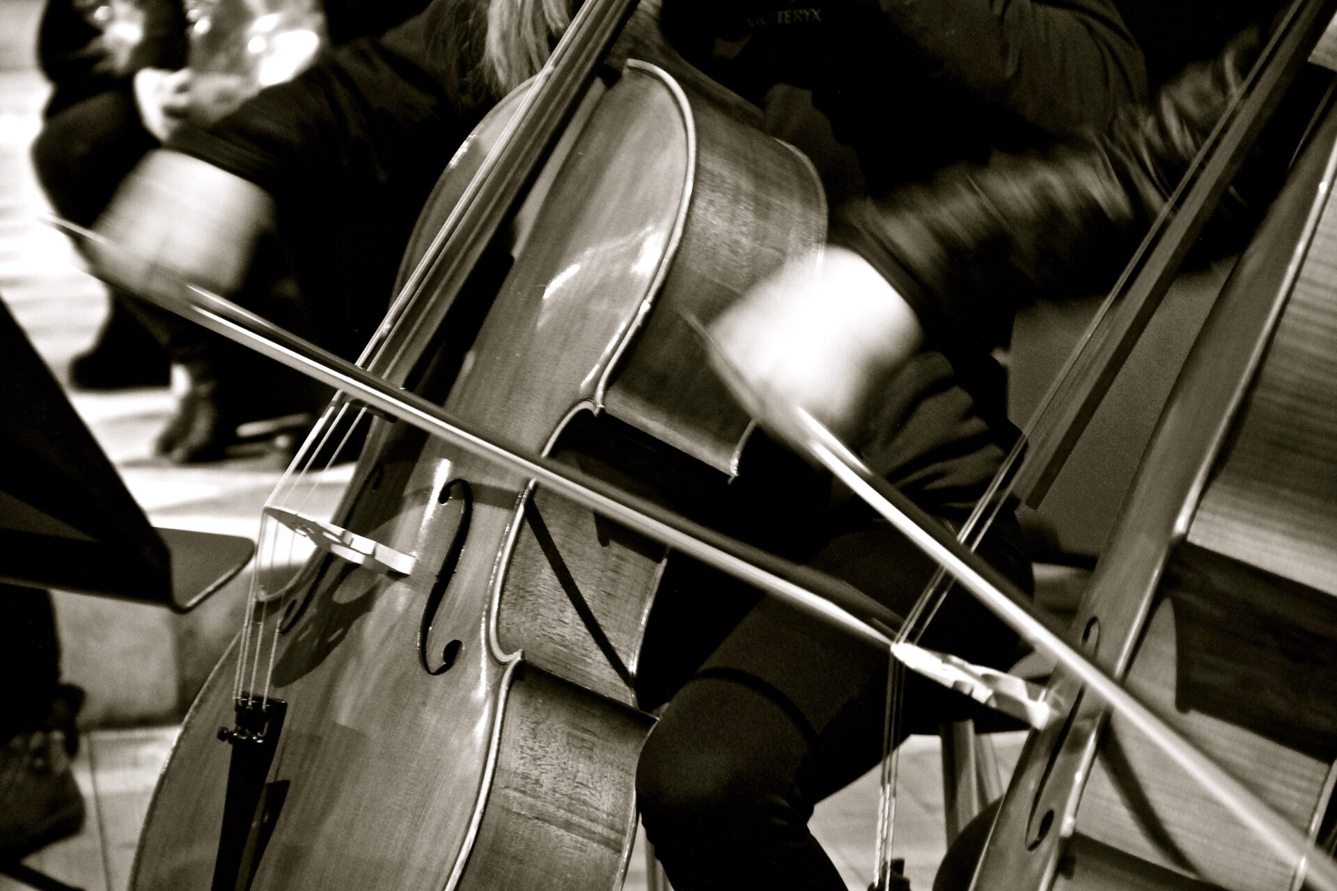 Mehr über den Artikel erfahren Fondo musica Alto Adige, saranno finanziati 19 progetti