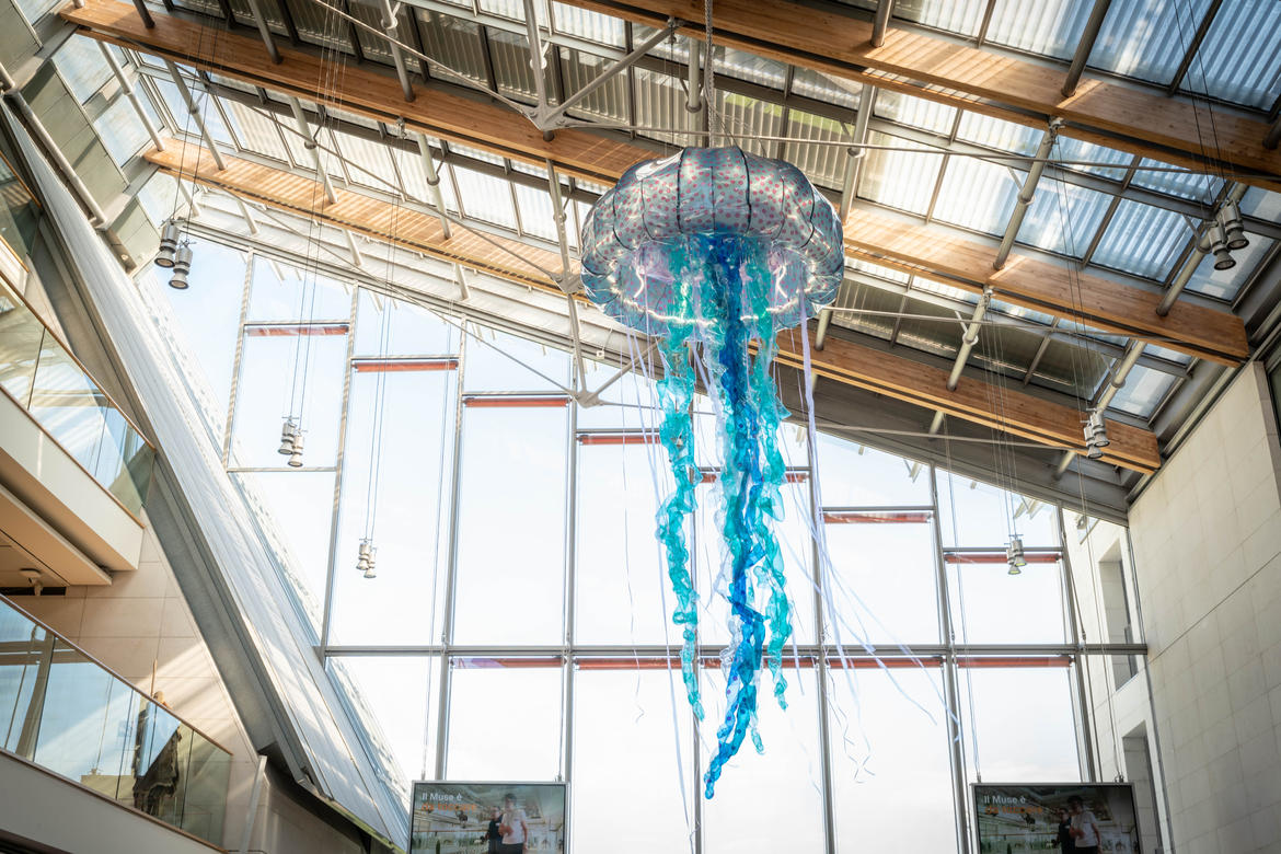 Scopri di più sull'articolo La Medusa, l’installazione artistica per l’Anno Internazionale dei Ghiacciai