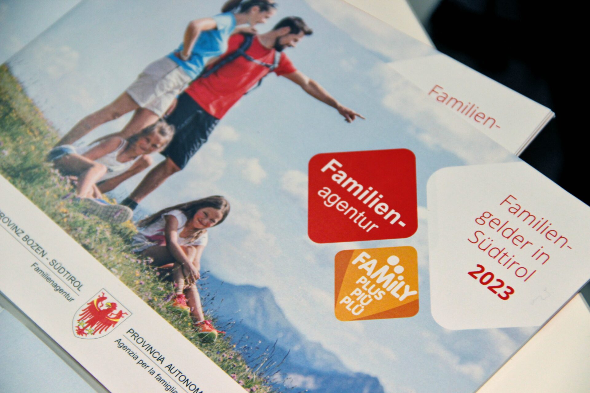 Scopri di più sull'articolo Alto Adige. Consulta per la famiglia, adeguamento ISEE per assegni provinciali