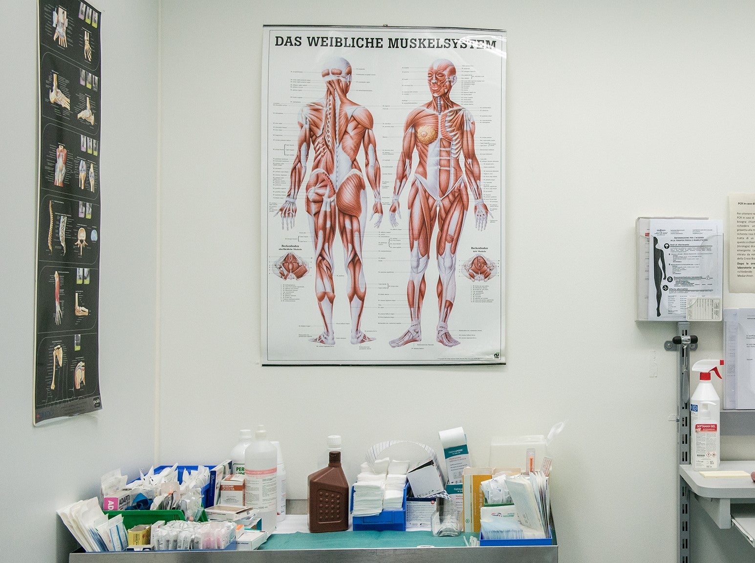 Scopri di più sull'articolo MENOPAUSA E ANDROPAUSA, A BOLZANO IL SIMPOSIO SULLA MEDICINA DI GENERE